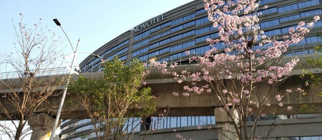 novotel-india-1200×525